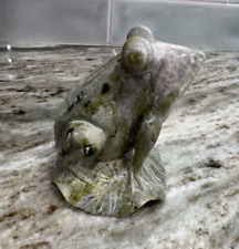 Marble frog lily for sale  Caledonia