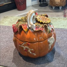 Fall harvest pumpkin for sale  Raymond