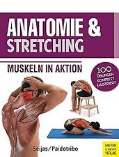 Anatomie stretching muskeln gebraucht kaufen  Berlin
