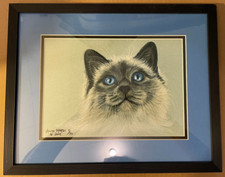 balinese cats for sale balinese cats for sale Martinsburg