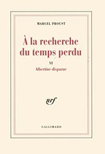 Albertine disparue proust for sale  ROSSENDALE