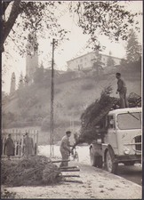 1958 udine abbattimento usato  Cremona