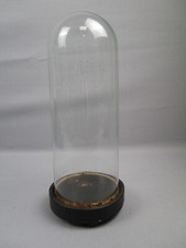 Glasdom stolp holzsockel gebraucht kaufen  Herzogenrath