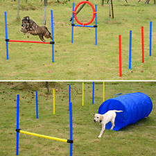 Pawhut hund agility gebraucht kaufen  Deutschland