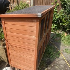 Pets home bluebell for sale  MANCHESTER