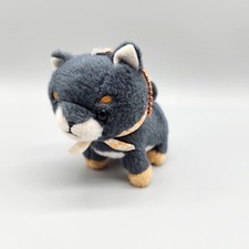 Amuse mameshiba shiba for sale  Brownstown
