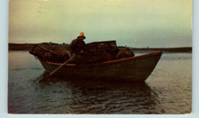 Postcard maine lobsterman for sale  Chandler