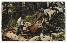 Troncos divididos, Austrália, cartão postal antigo, década de 1900, série S W Nature, usado comprar usado  Enviando para Brazil