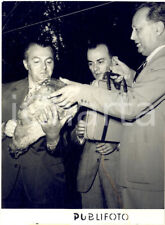 1954 suzzara dino usato  Milano