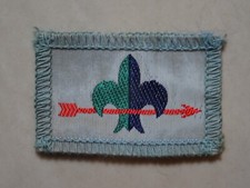 Scout standard trial for sale Scout standard trial for sale  NORTHAMPTON