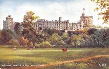 Br80565 windsor castle for sale  LONDON