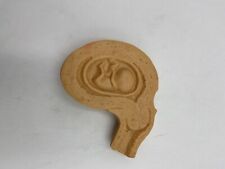 Carolina Biological Uterus Fetus Fetal Development Anatomical Model comprar usado  Enviando para Brazil