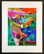 David hockney 11x14 for sale  Hawkinsville