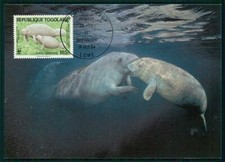 Togo wwf fauna gebraucht kaufen  Bürstadt