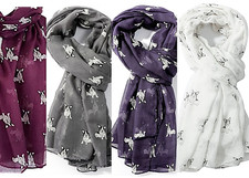 Ladies french bulldog for sale Ladies french bulldog for sale  PRESTON