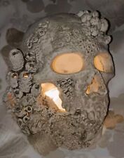 Resin human skull for sale  HEREFORD