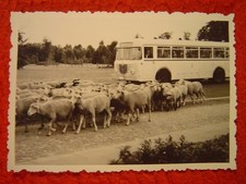 Bvg berlin eindecker gebraucht kaufen  Berlin