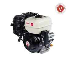 Motore zanetti zbm270 usato  San Pietro Vernotico