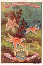Chromos.am15074.6x9 .liebig. f d'occasion  France