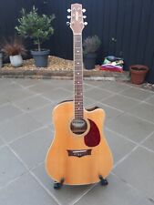 Peavey electro acoustic for sale  BALLYMONEY