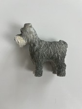 Mini schnauzer dog for sale  LONDON