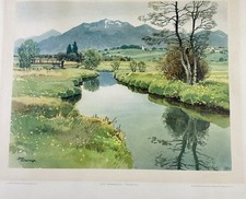 Yos sussmayr yos for sale  Lakeland