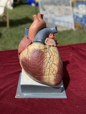 Vintage life size for sale  UK