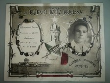 II WW, Raro diploma d'onore ai Reduci dalla prigionia in Germania comprar usado  Enviando para Brazil
