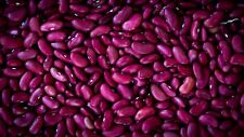 Usado, Sementes de feijão a granel 200+ relíquia de sementes de feijão vermelho frete grátis EUA comprar usado  Enviando para Brazil