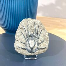 Rare fossile trilobite d'occasion  Saint-Genest-Malifaux