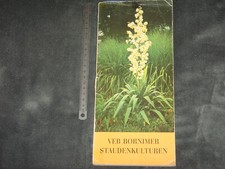 Karl foerster veb gebraucht kaufen  Schöneiche