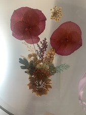 Antique pressed flowers for sale  Warner Robins