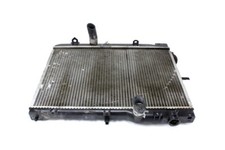 Rf3f15200c radiatore acqua usato  Rovigo
