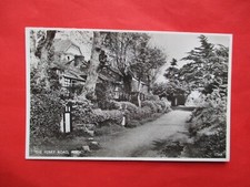 Ferry road rock for sale  EXETER
