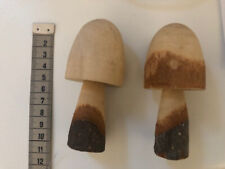 Pilze holz zur gebraucht kaufen  Schenefeld