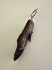 Flaschenöffner hirschhorn kap gebraucht kaufen  Fürth