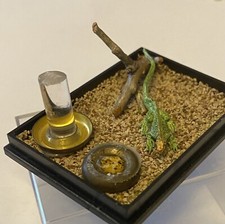Dollhouse miniature lizard for sale  Kimberly