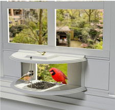 180 window bird for sale  Waller
