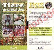 Vhs tiere waldes gebraucht kaufen  Mannheim