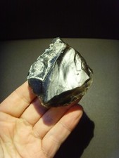 Paleolithic superb neanderthal usato  Spedire a Italy