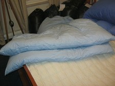 Hellblaues steppbett gute gebraucht kaufen Hellblaues steppbett gute gebraucht kaufen  Rosenfeld