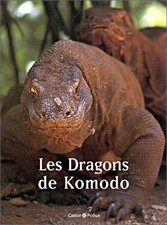 Dragons komodo d'occasion  Corbeil-Essonnes