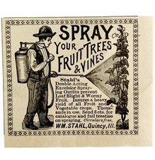 Stahl fruit tree for sale  Cambridge