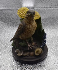 The country bird usato  Sormano