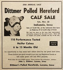1969 ad. dittmer for sale  Southbridge