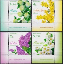 Moldavia 2019 fiori usato  Trambileno