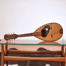 Mandolino artigianale liutaio usato  Ferrara