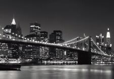 Fototapete new york gebraucht kaufen  Lippstadt