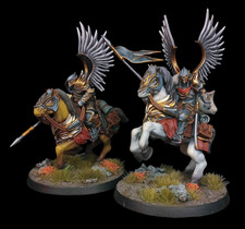 Commission pro painted d'occasion  Grenoble-