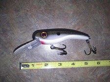 Musky pike muskie for sale  Delavan